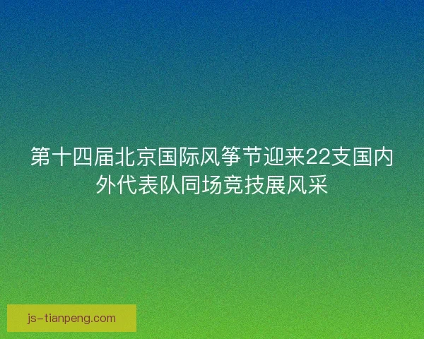 第十四届北京国际风筝节迎来22支国内外代表队同场竞技展风采