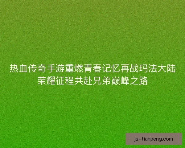 热血传奇手游重燃青春记忆再战玛法大陆荣耀征程共赴兄弟巅峰之路